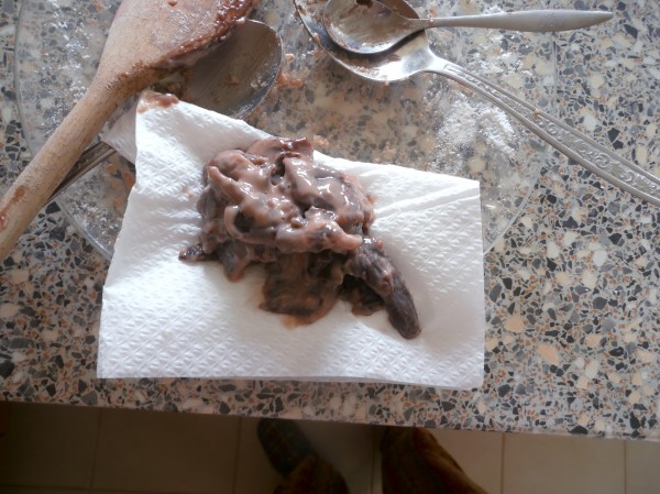 Gumov splenina